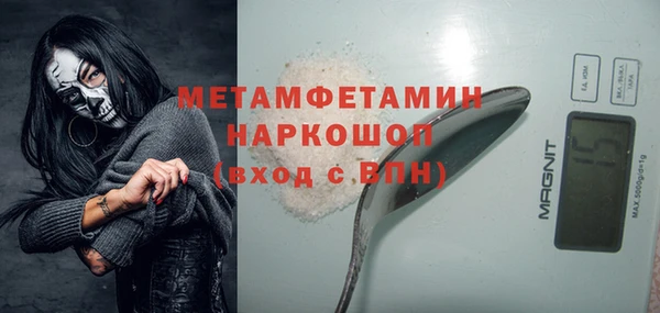 прущие грибы Бронницы