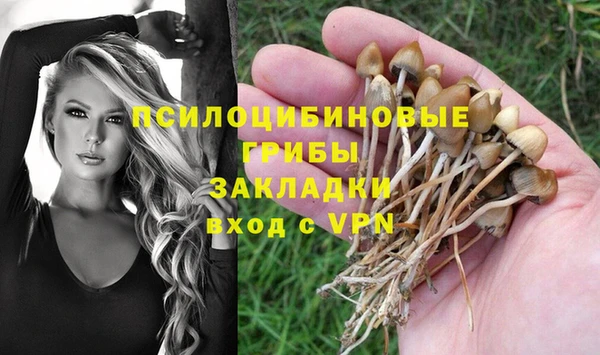 стаф Бугульма