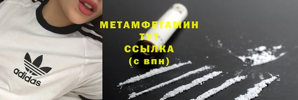 прущие грибы Бронницы