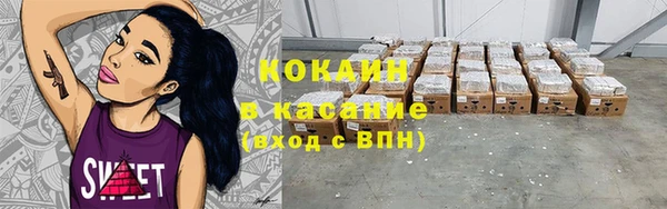 прущие грибы Бронницы